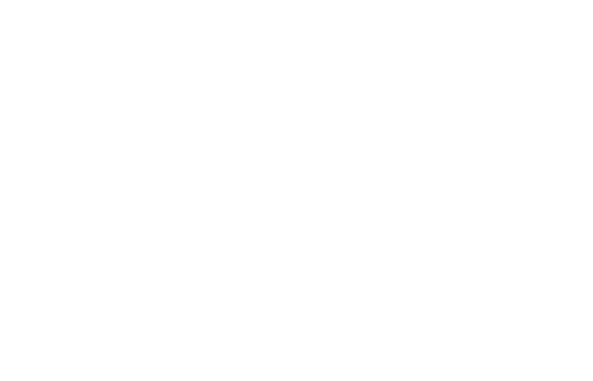 Partner Logo PfB
